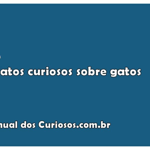 Fatos curiosos sobre gatos